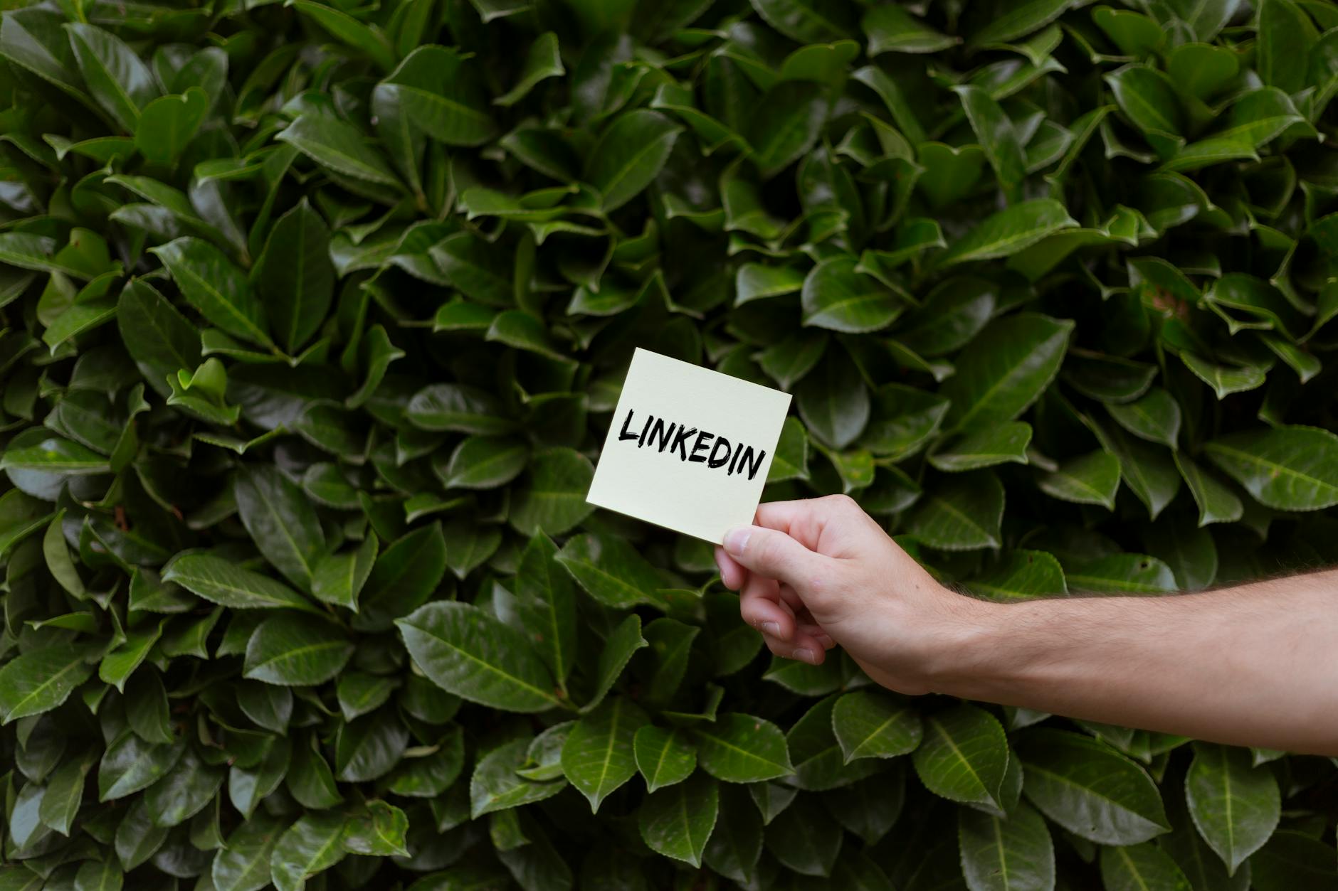 LinkedIn carousel format for increasing comments