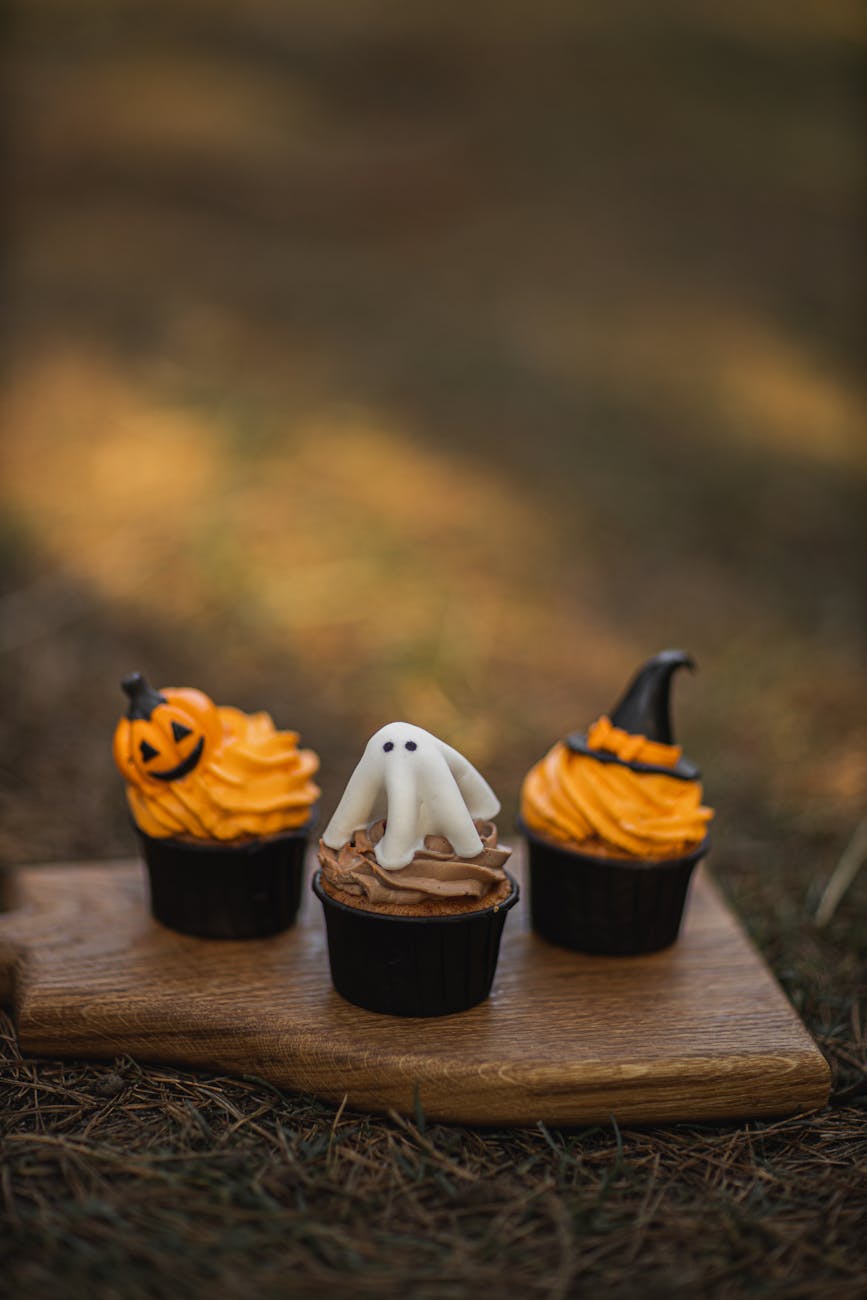 Sustainability stories for Instagram growth and engagement