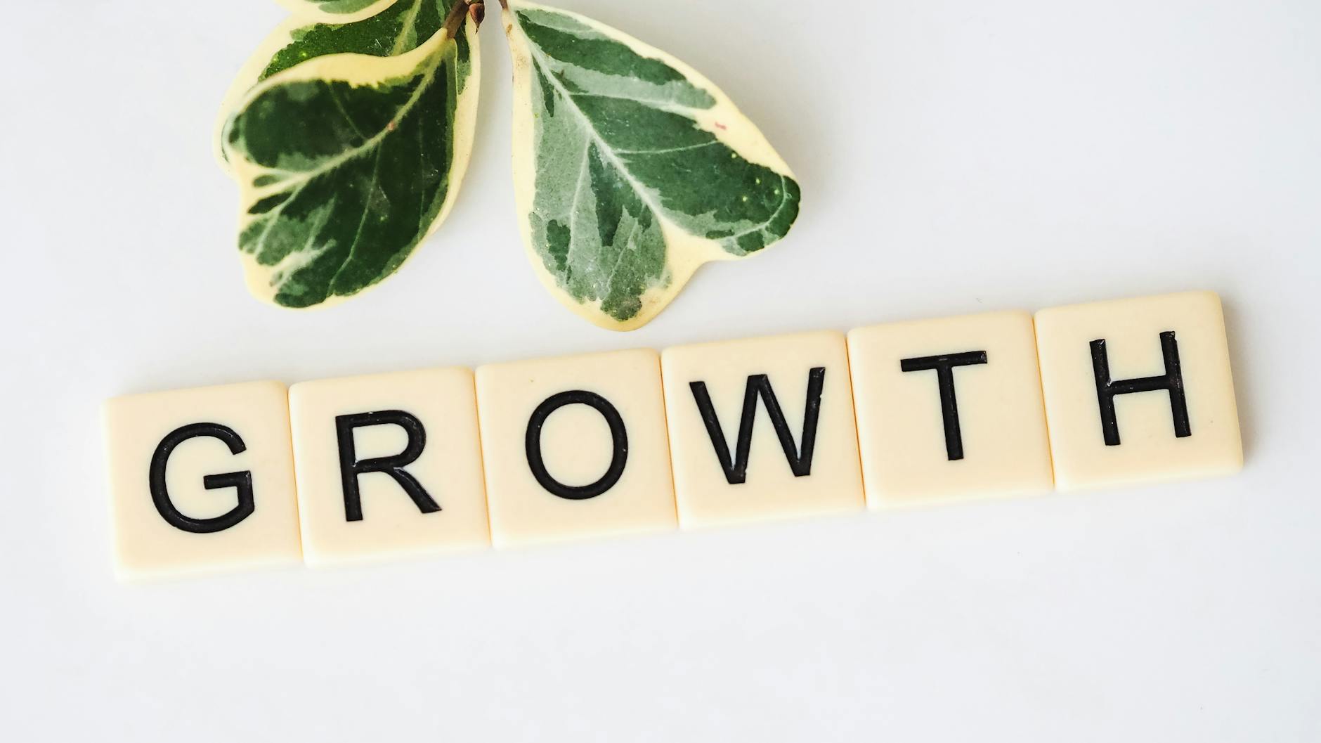 7 Proven Instagram Growth Services to Boost Your Reach in 2026